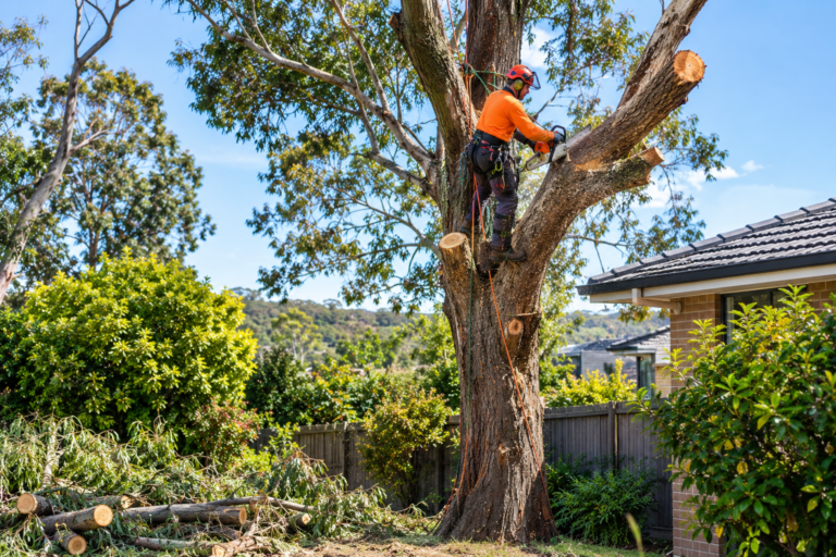 Stump Removal in Cockatoo: Benefits, Methods and Important Considerations